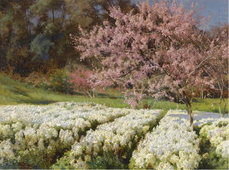 Antonio Mancini Spring blossom
